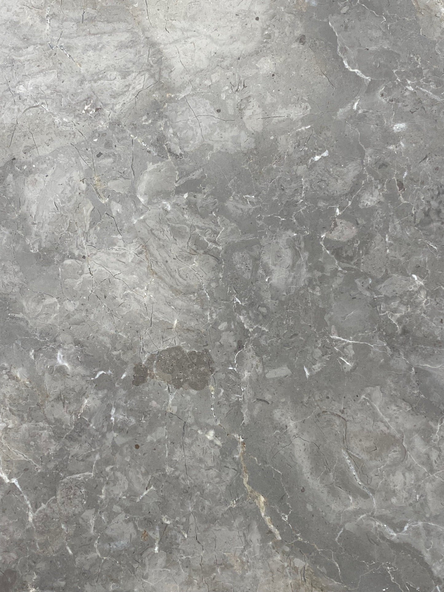 Carmen Grey Marble Tile & Paver