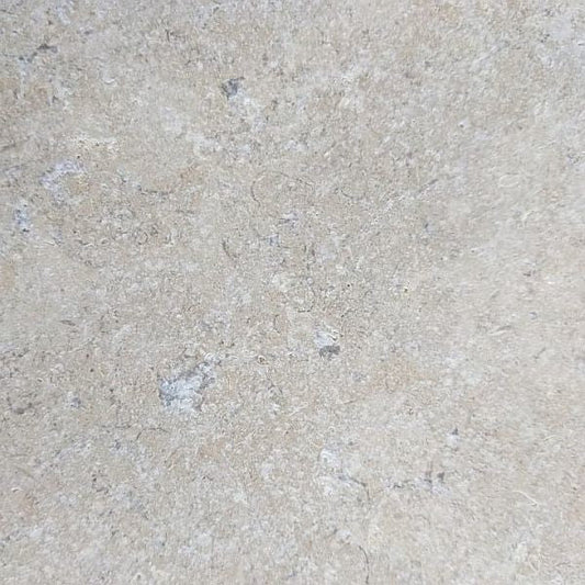 Sample - Sinai Pearl Limestone Tile & Paver - Layr Supply Co.